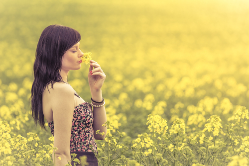 Image Source: Shutterstock