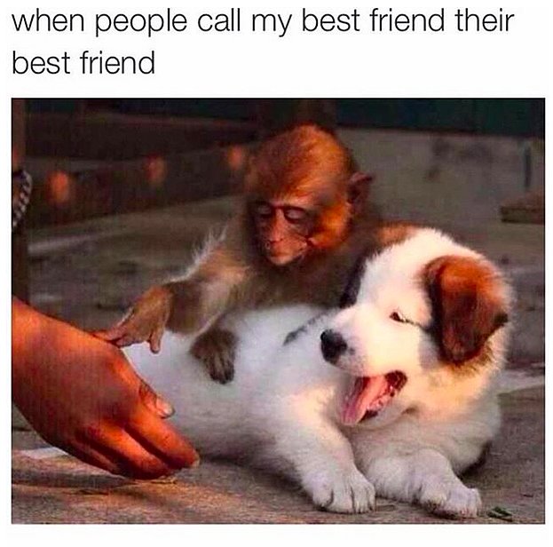Why Is My Ex Trying To Befriend My Bestie?
