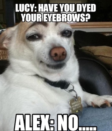 Memes.com