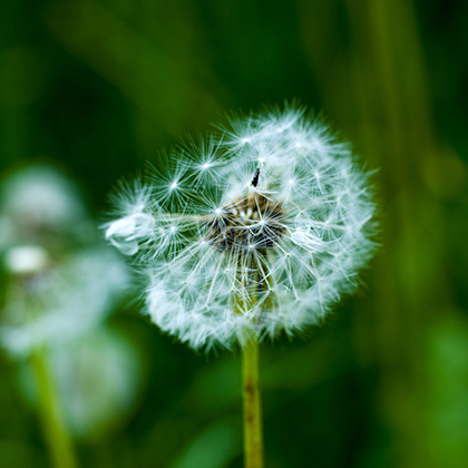 Image Source: Shutterstock
