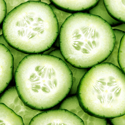 Image Source: Shutterstock