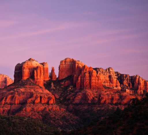 Image: Shutterstock