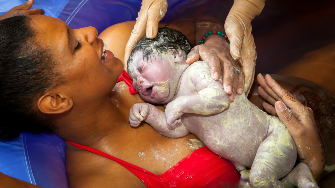 lotus birth