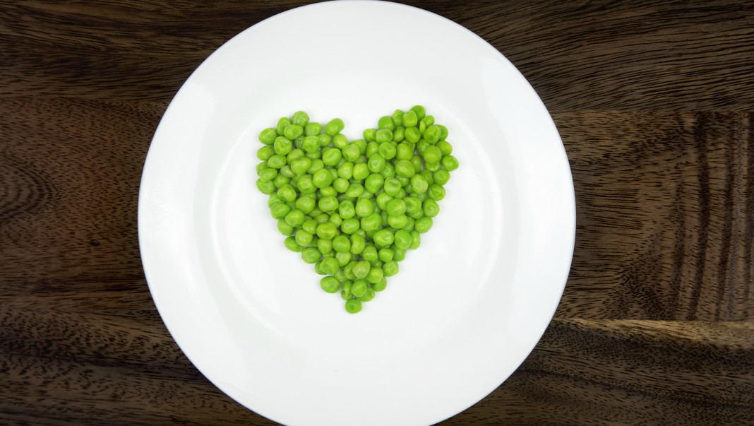 plant-based milk, macadamia milk