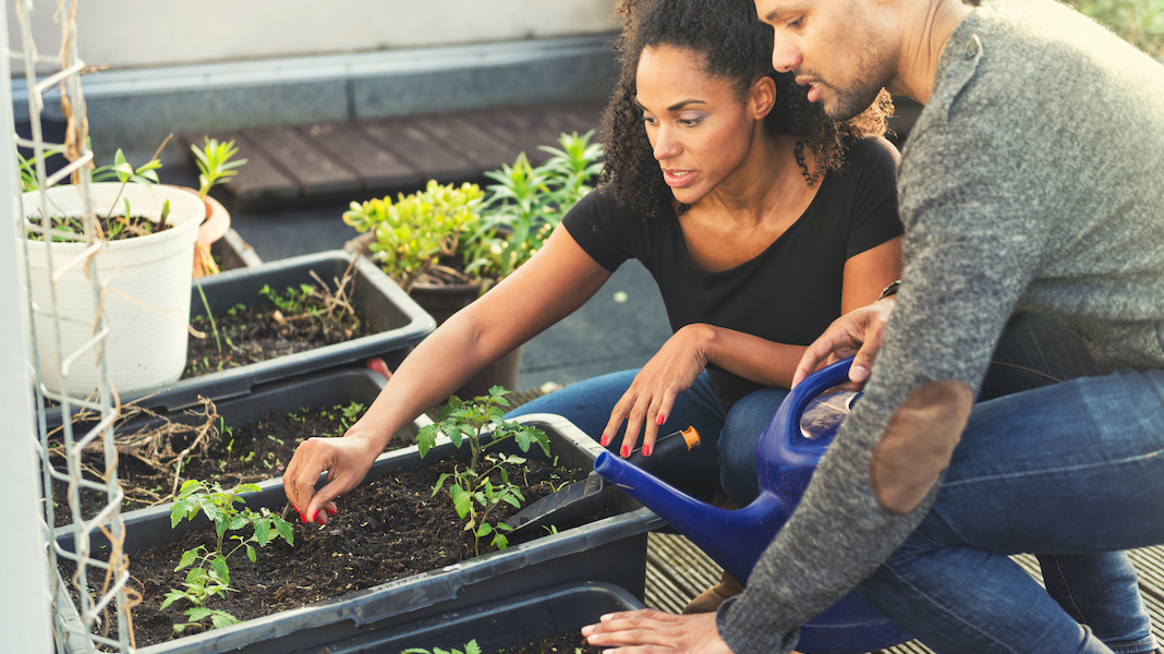 sustainable living