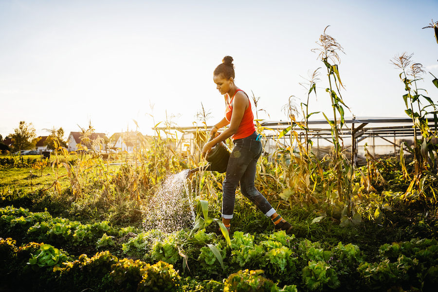 sustainable living