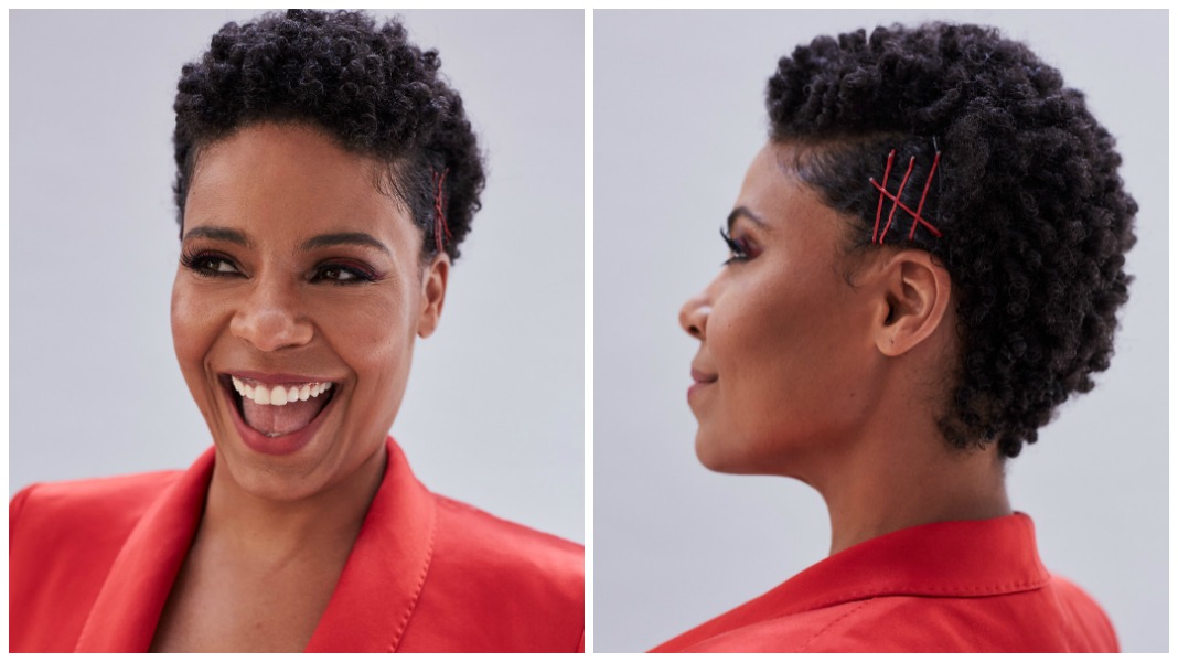 Sanaa Lathan Nappily Ever After