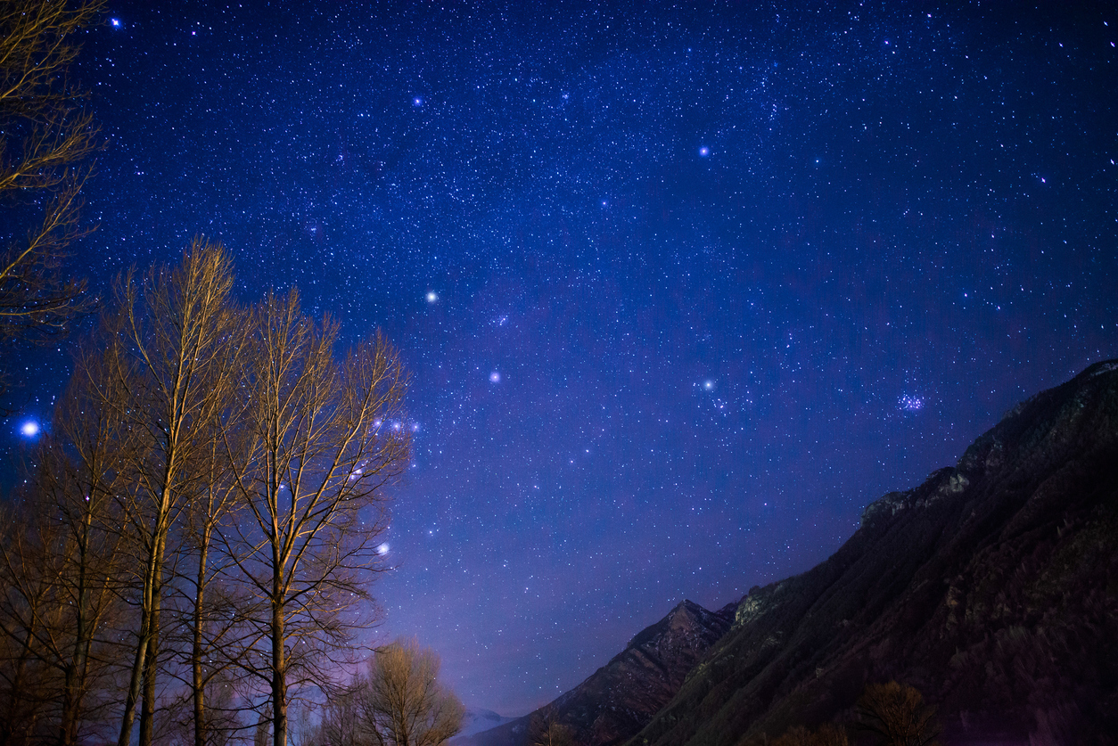 Low Angle View Of Trees Against Sky At Night
