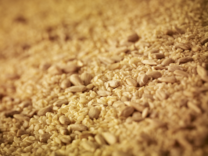 Sesame Seeds and Sunflower Seeds