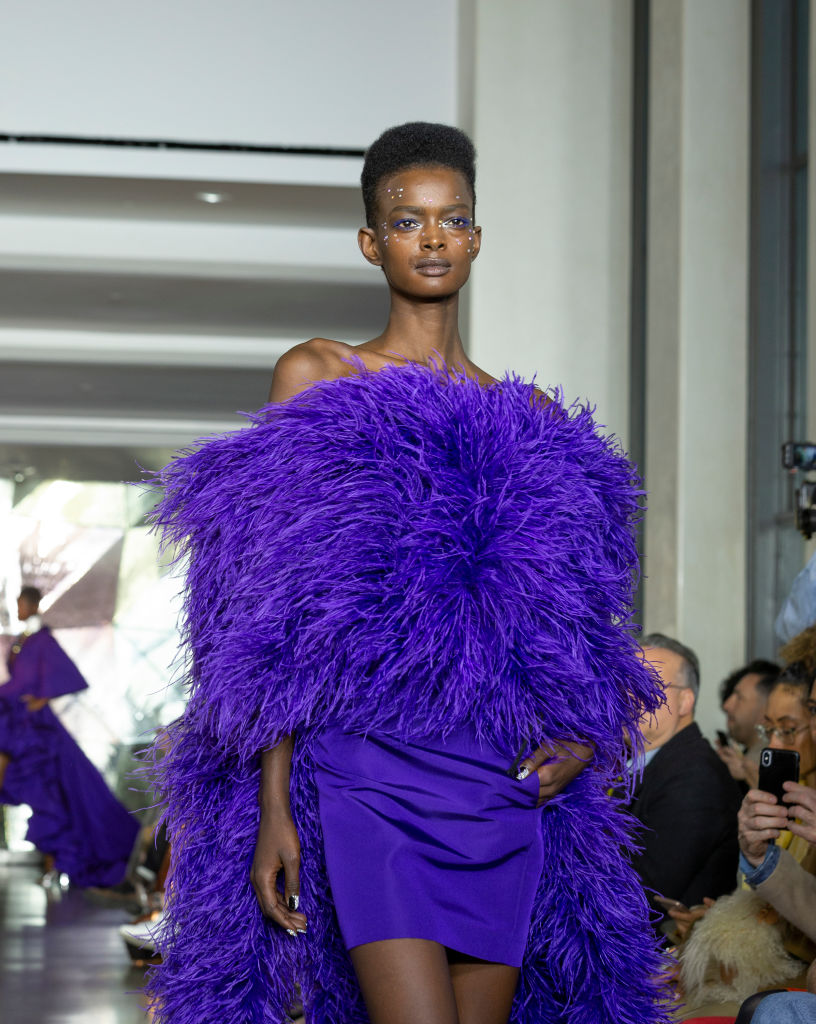 Model walks runway for Christian Siriano New York fashion...