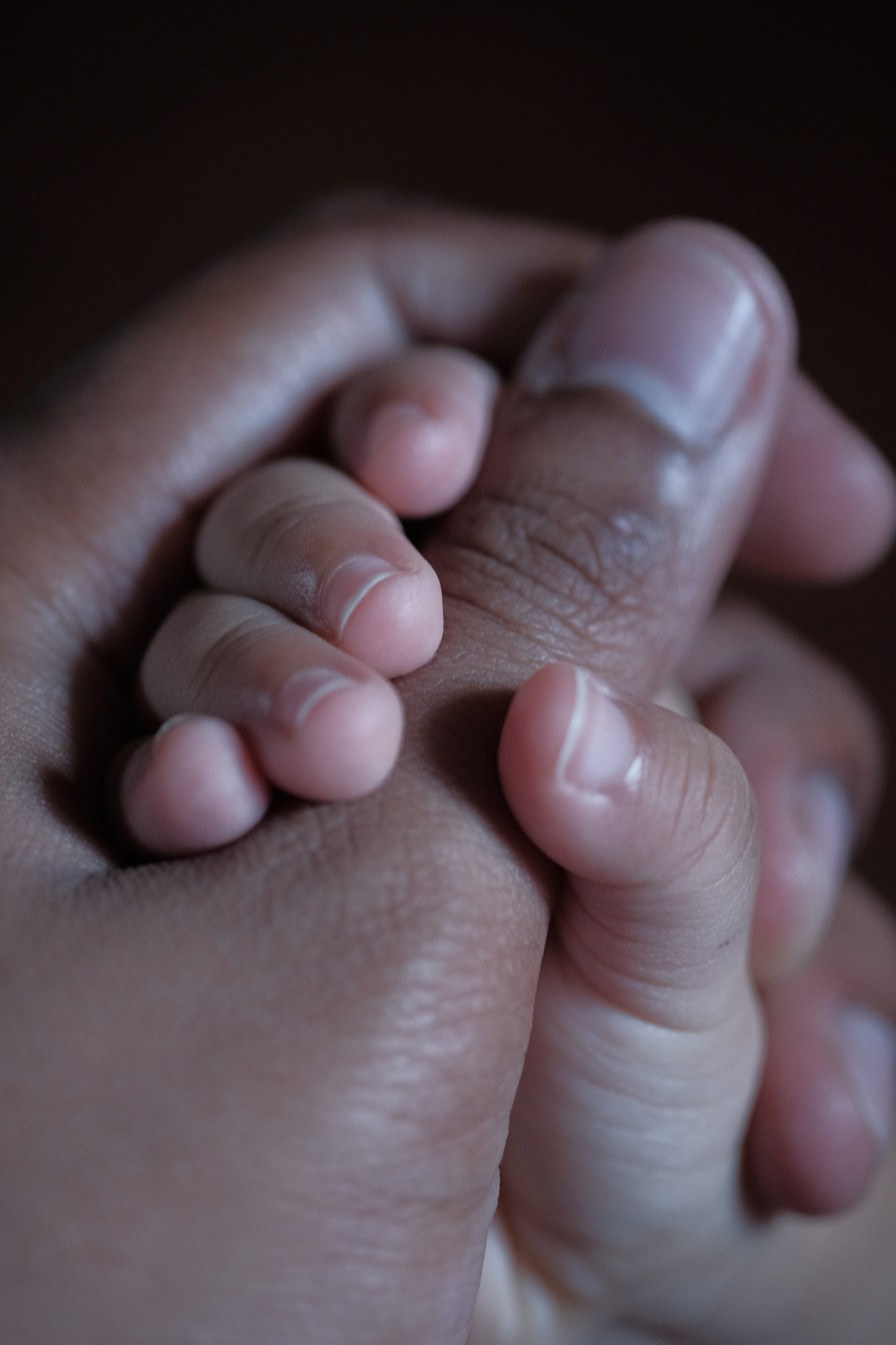 baby child holding finger of father