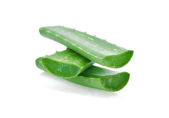 Close-Up Of Aloe Vera On White Background