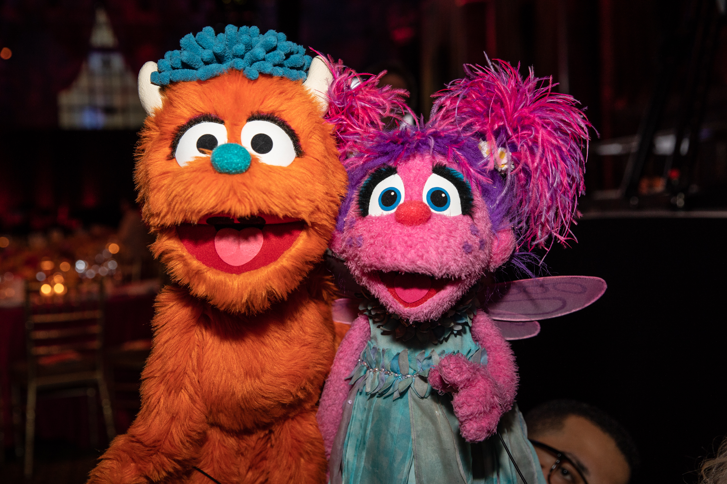Sesame Workshop's 16th Annual Benefit Gala
