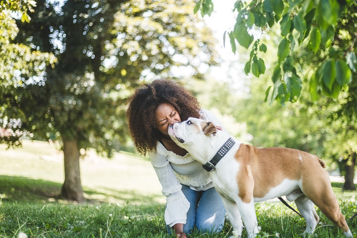 coronavirus prevention dogs