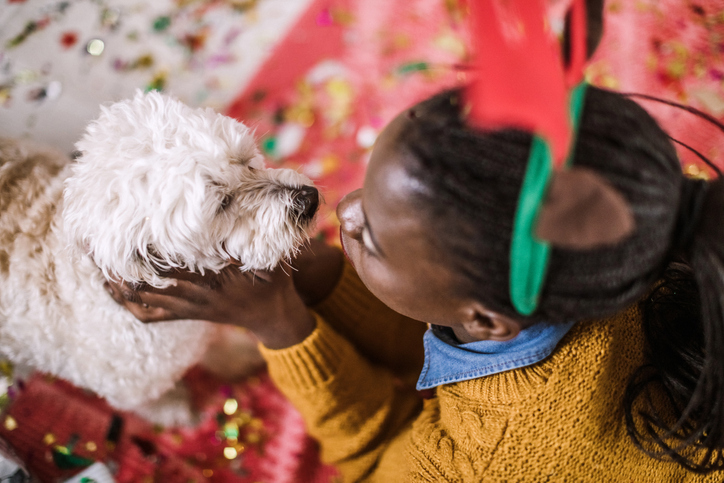 coronavirus prevention dogs