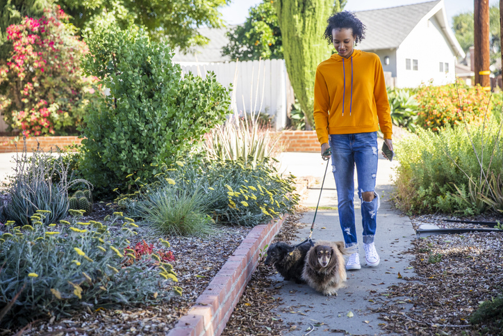 coronavirus prevention dogs
