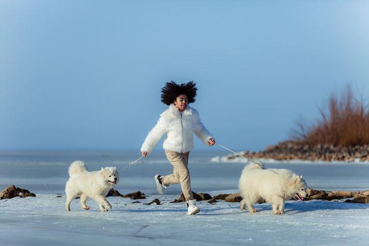 coronavirus prevention dogs