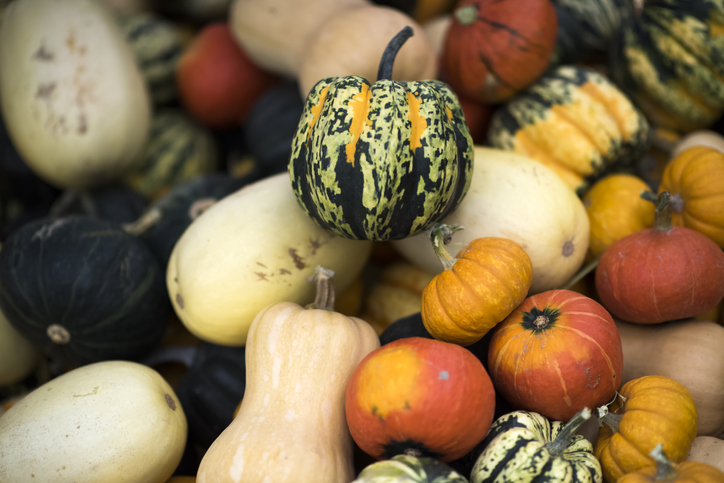 quarantine food list