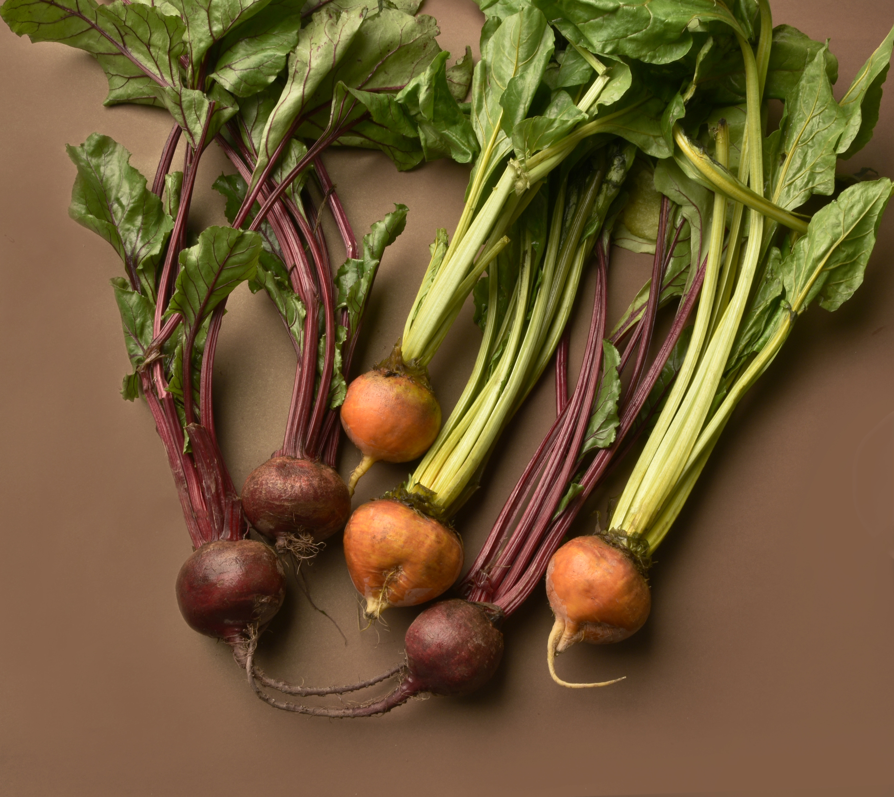 quarantine food list