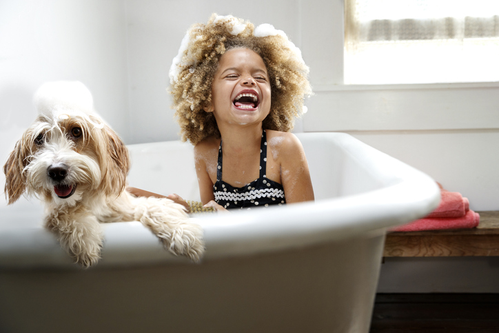 pet care at home