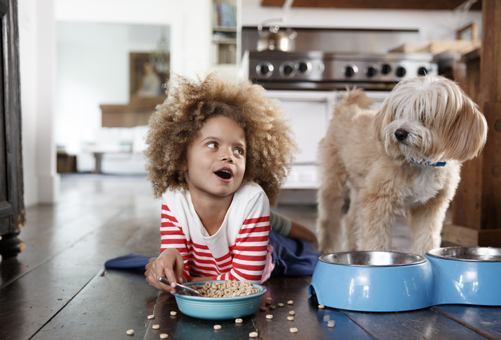 pet care at home