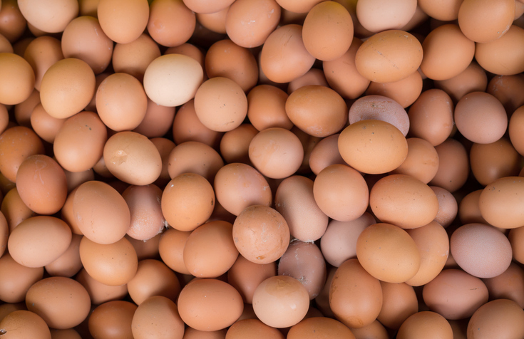 background of fresh eggs for sale at a market
