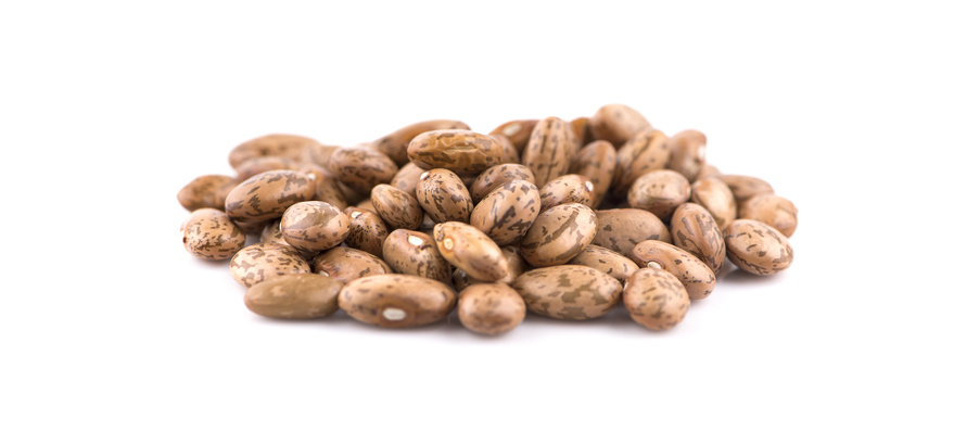 what are non-perishable foods