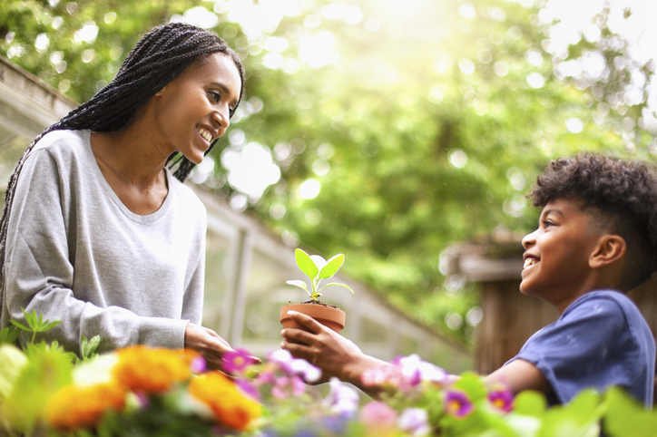 yard maintenance basics