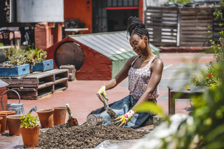 yard maintenance basics