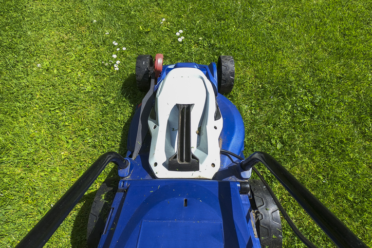 yard maintenance basics