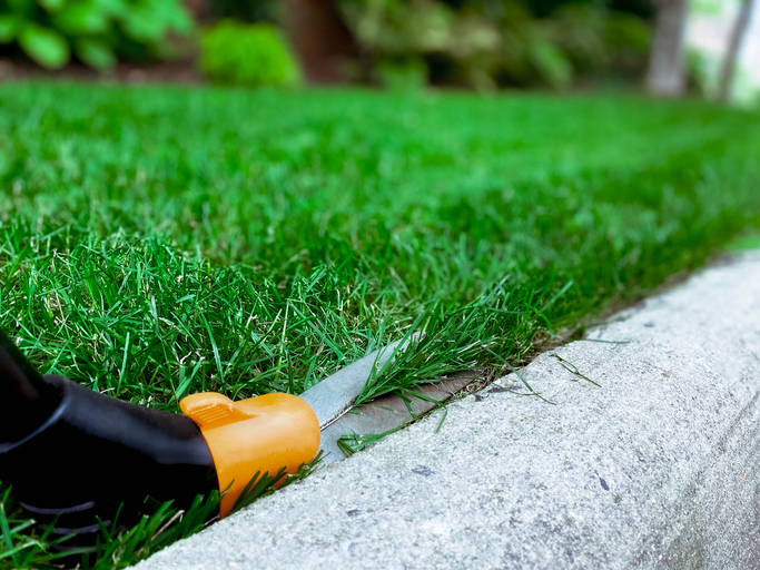 yard maintenance basics