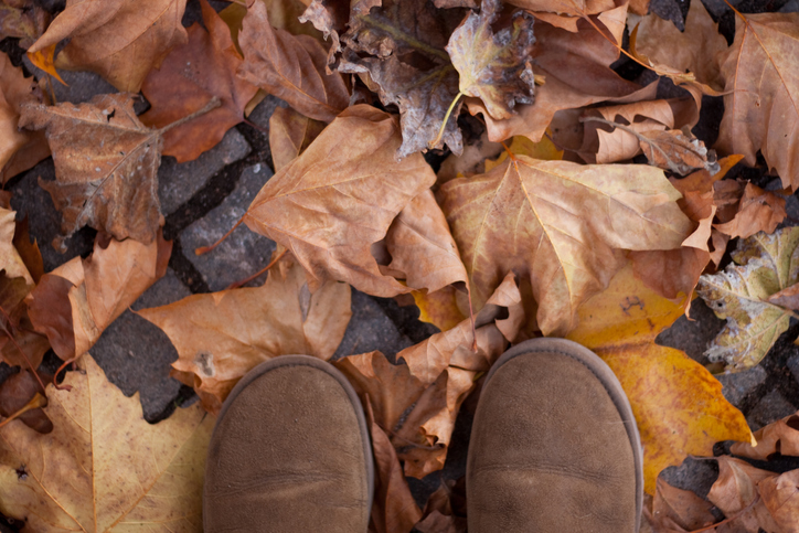 yard maintenance basics