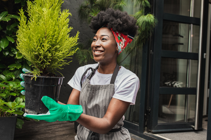 yard maintenance basics