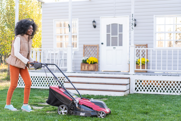 yard maintenance basics