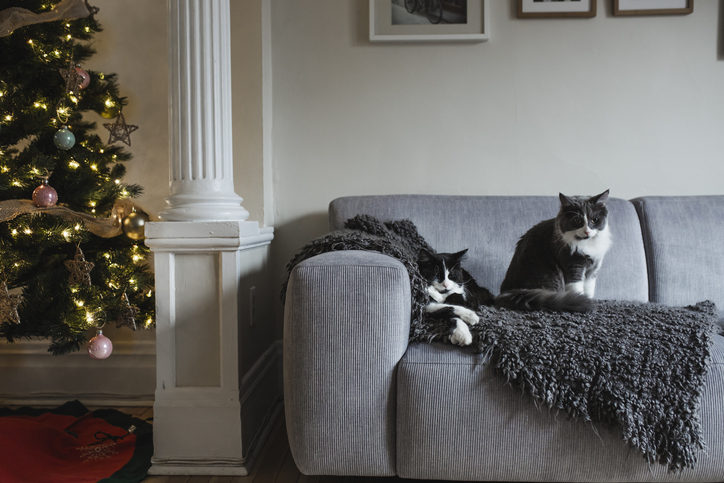 a guide to indoor air quality