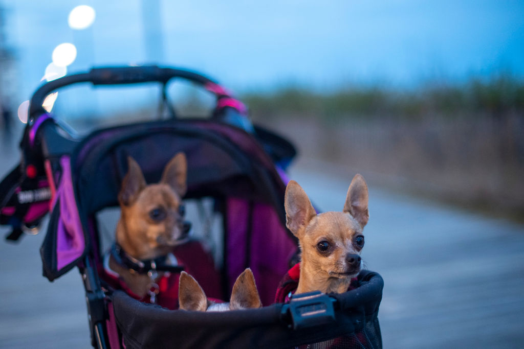 becoming a new parent