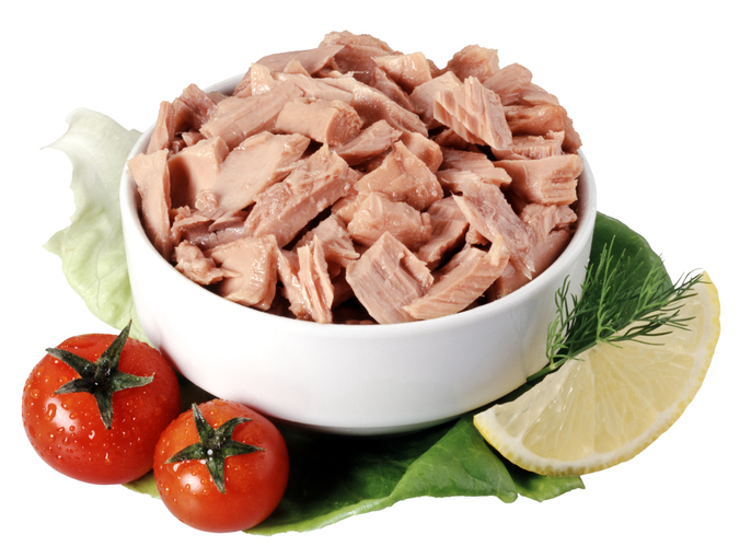 protein foods