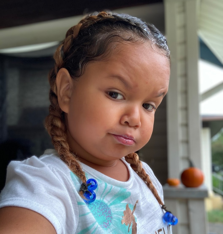 Indybugg1
