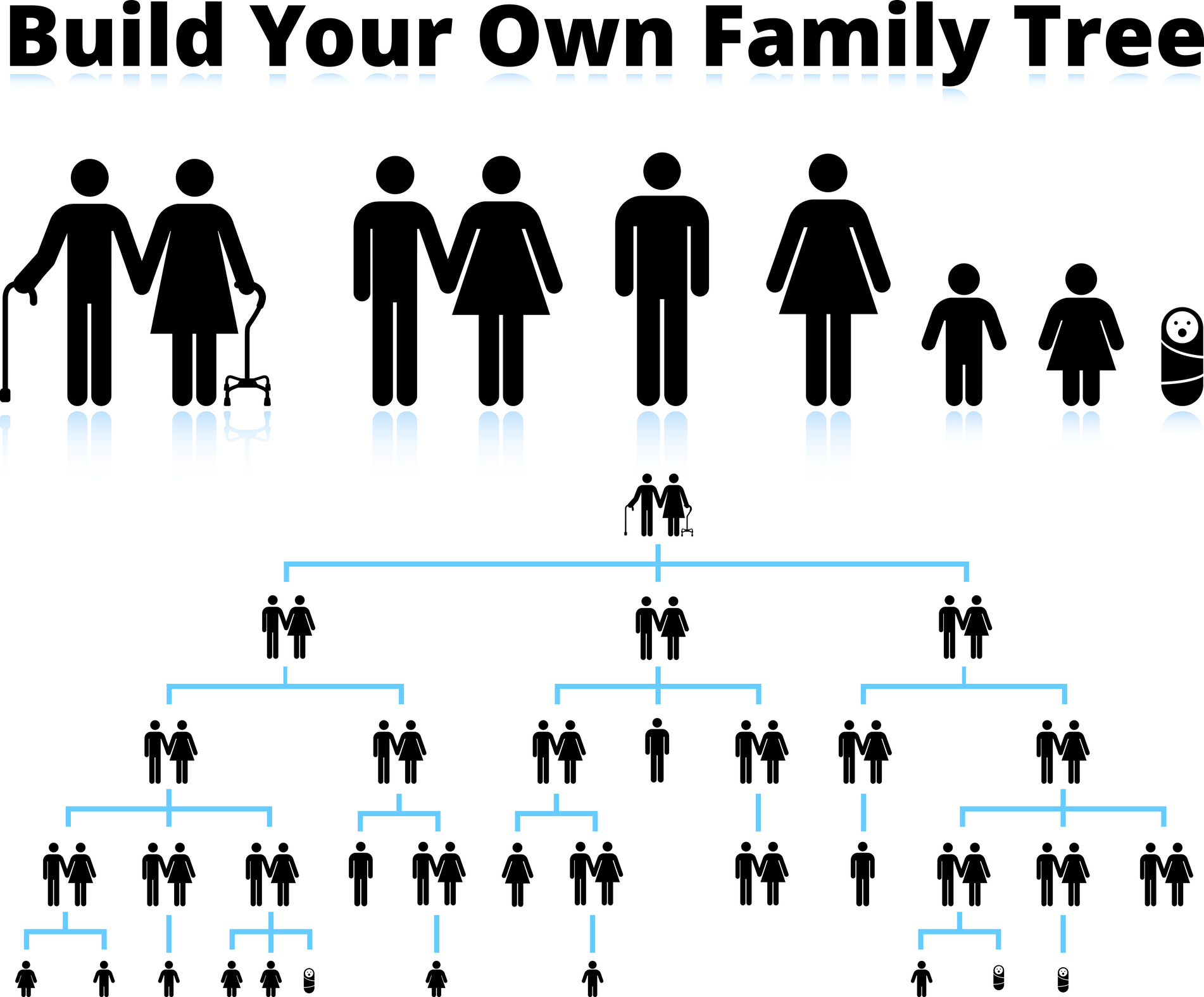 genealogy tracing