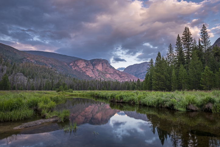 East_Inlet_Meadow_RMNP_2021_1