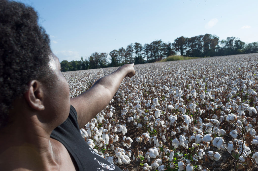 100 Year anniversary of the Elaine racial massacre