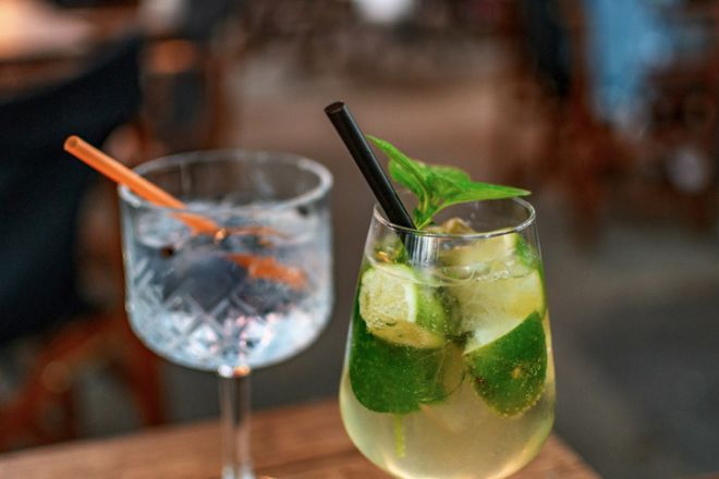 Zebra, Striping, Alcohol, Hack, Trend, Drinking, Daisy Jones 