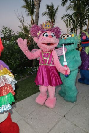 sesame place lawsuit