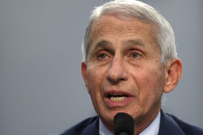 dr. fauci covid