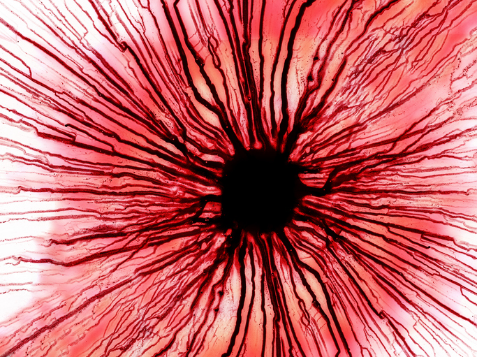 Drop of blood slides on a white surface.