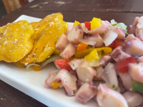 calamari, pulpo