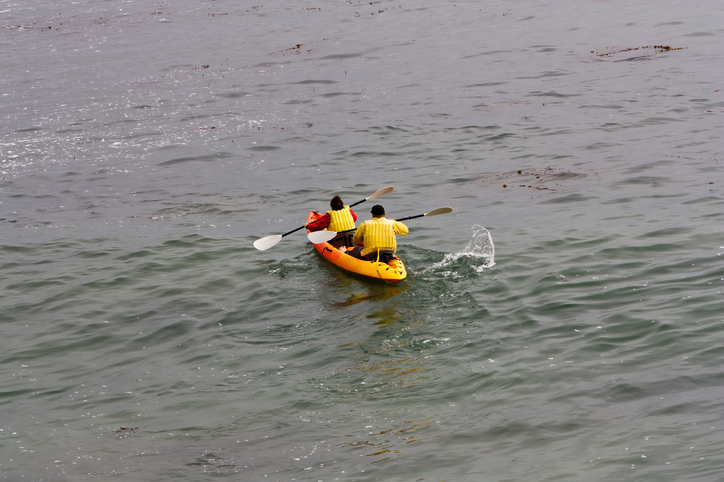 Two-Person Rental Kayak Paddling On Monterey Bay California