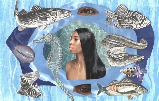 MN HOROSCOPES