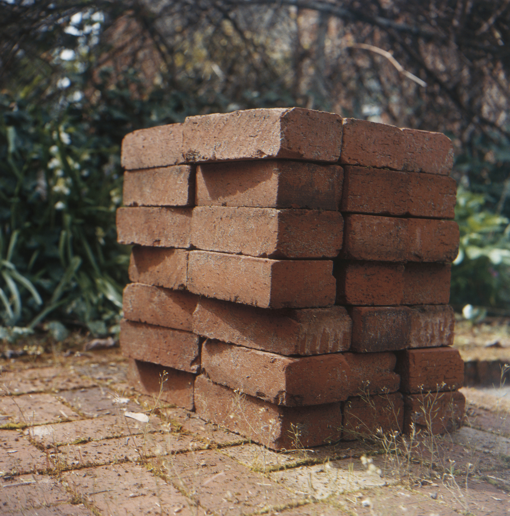 Rhoa Bashe woman hit face bricks Houston 