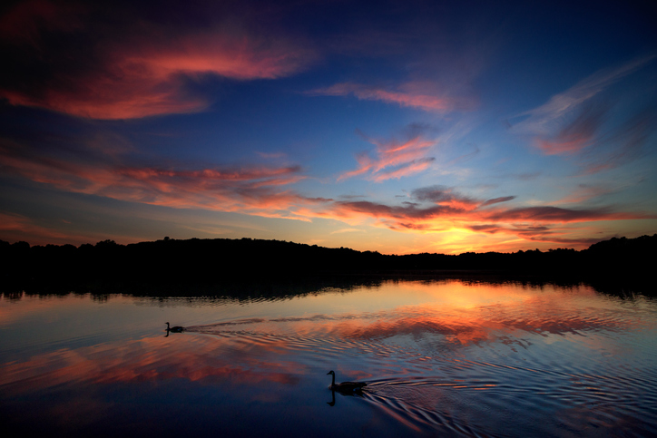 attack, racial slurs, George Floyd, water, pond, teen, Black, victim, John Sheeran